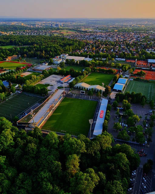 据上的成功 据上的成功