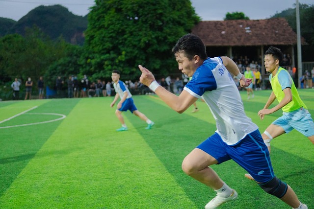 的小型友谊 的小型友谊