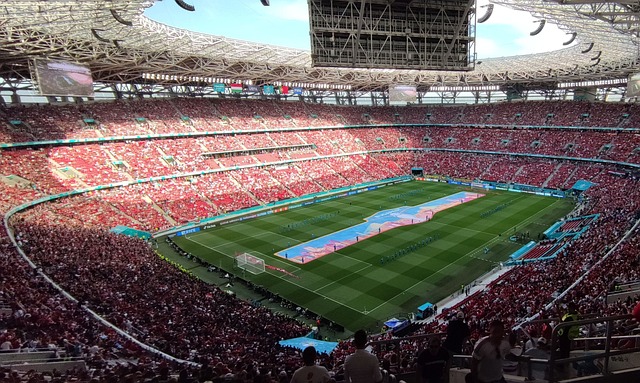 界羽坛中占 界羽坛中占