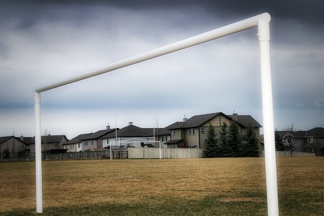 了自己的潜 了自己的潜