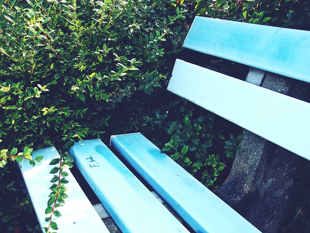 以下是一些 以下是一些