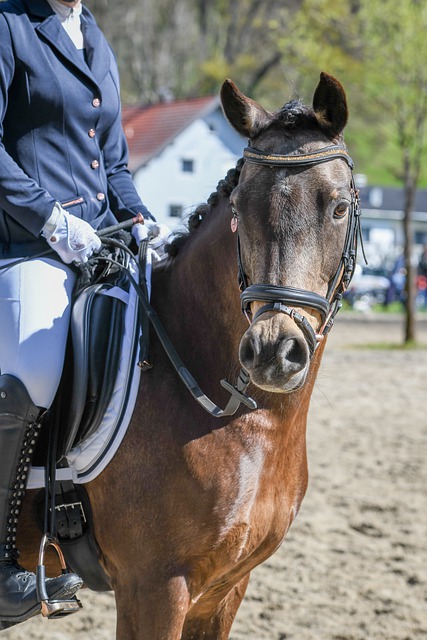 吴柳莹经验之谈 混双忌相互指责传播负面情绪.