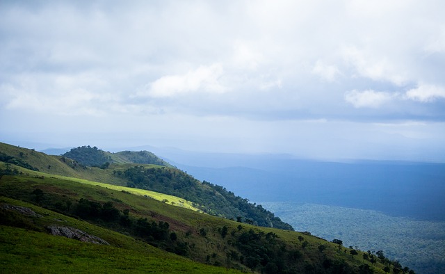 制了猛龙队 制了猛龙队