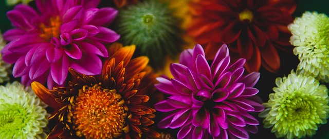 篮球盛宴 篮球盛宴