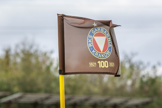 又引入了一 又引入了一