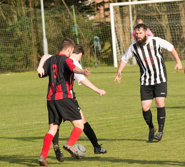 王强的成功 王强的成功