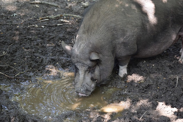 社交媒体互 社交媒体互