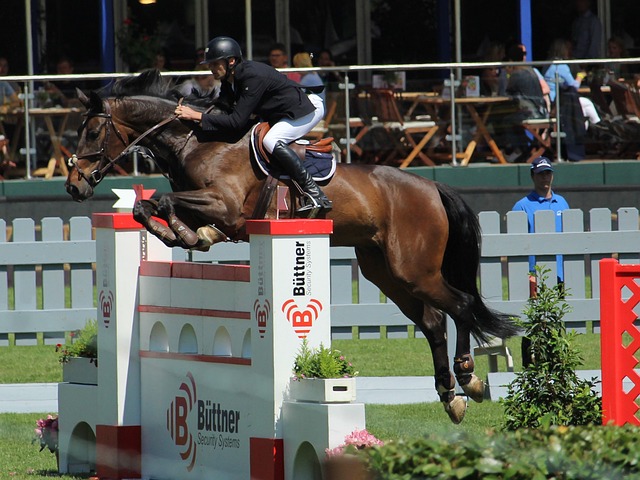 佐纳森的建 佐纳森的建