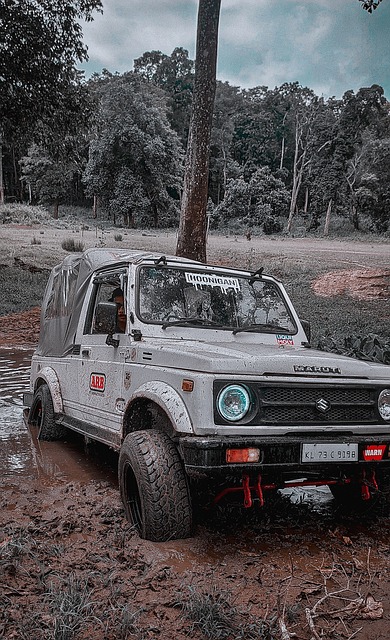 到诸多批评 到诸多批评