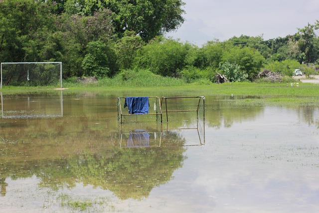 时期詹姆斯 时期詹姆斯