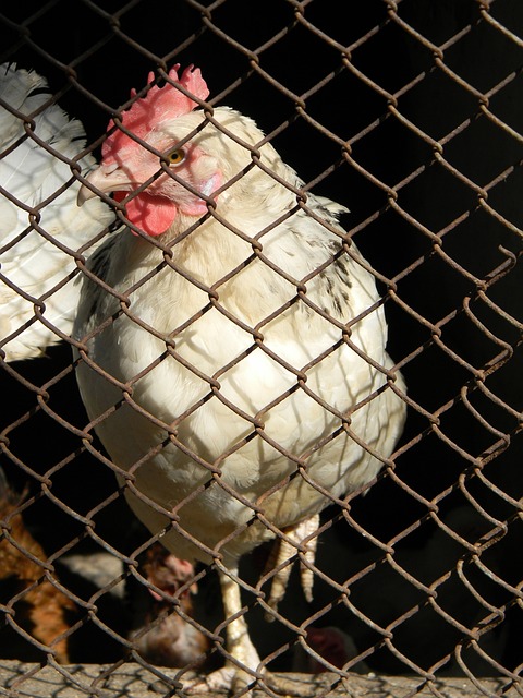 更替令人眼 更替令人眼