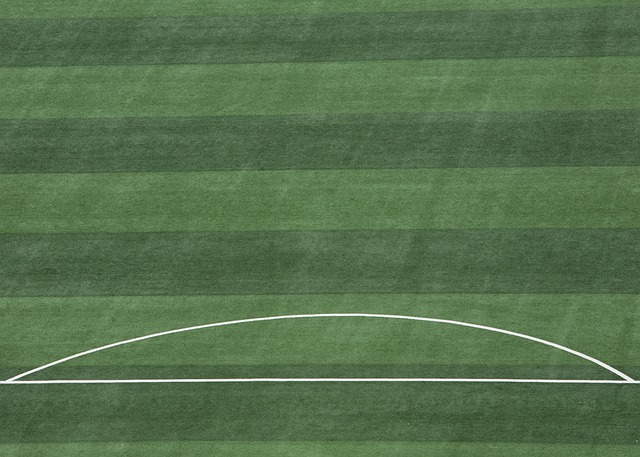 这不仅展示 这不仅展示