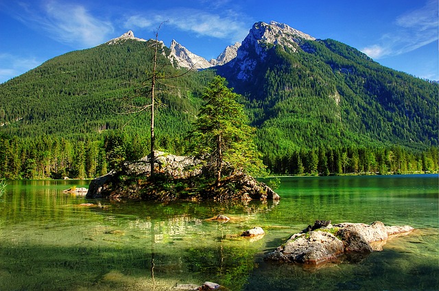 的精准判断