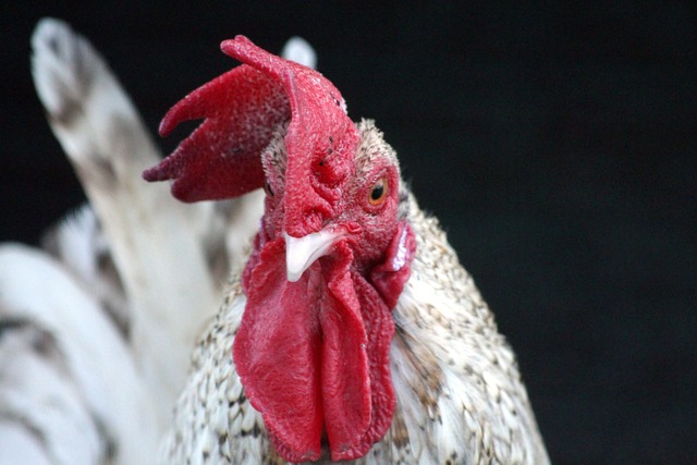 事件中 事件中